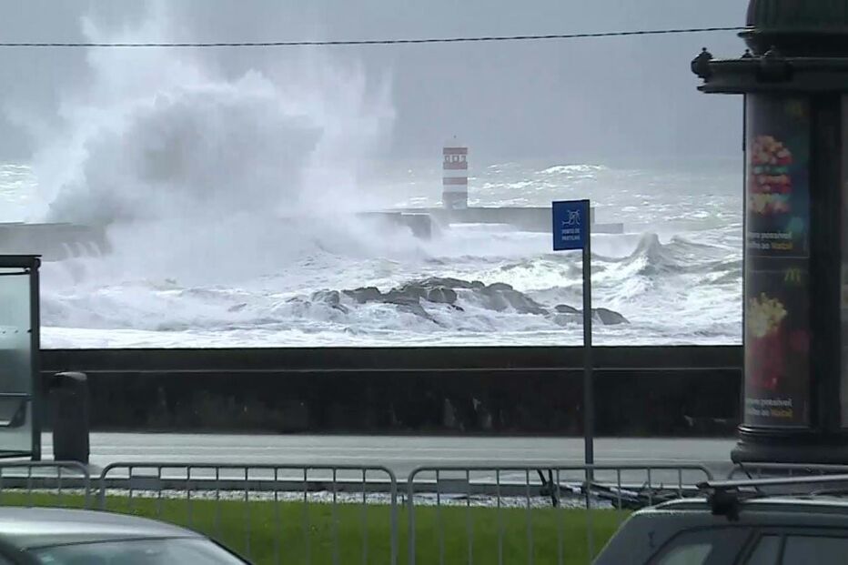 Avenida D. Carlos I, no Porto