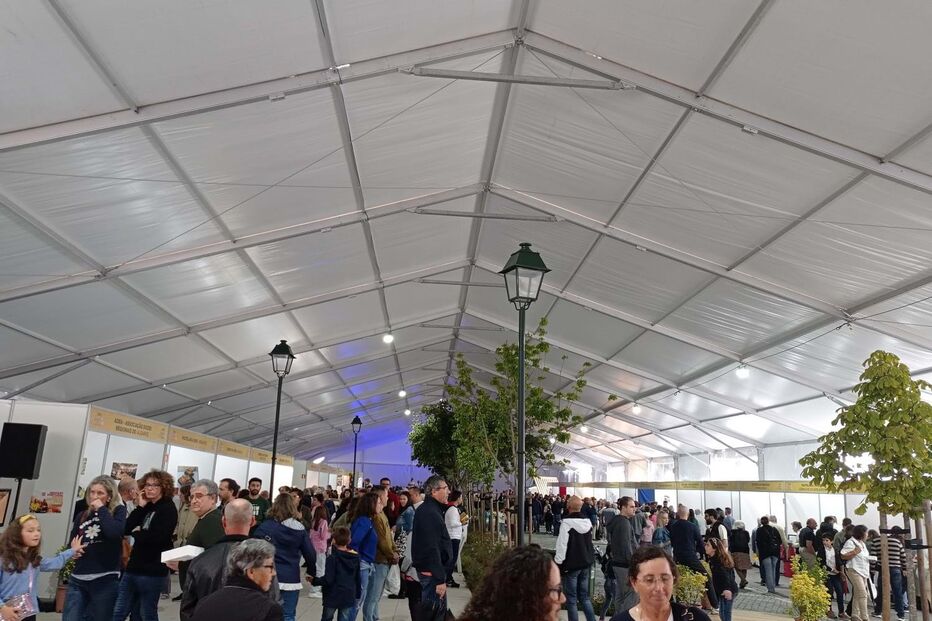 2023-10-16_17_25_37 Tagus2-IMG_20221023_153605.jpg