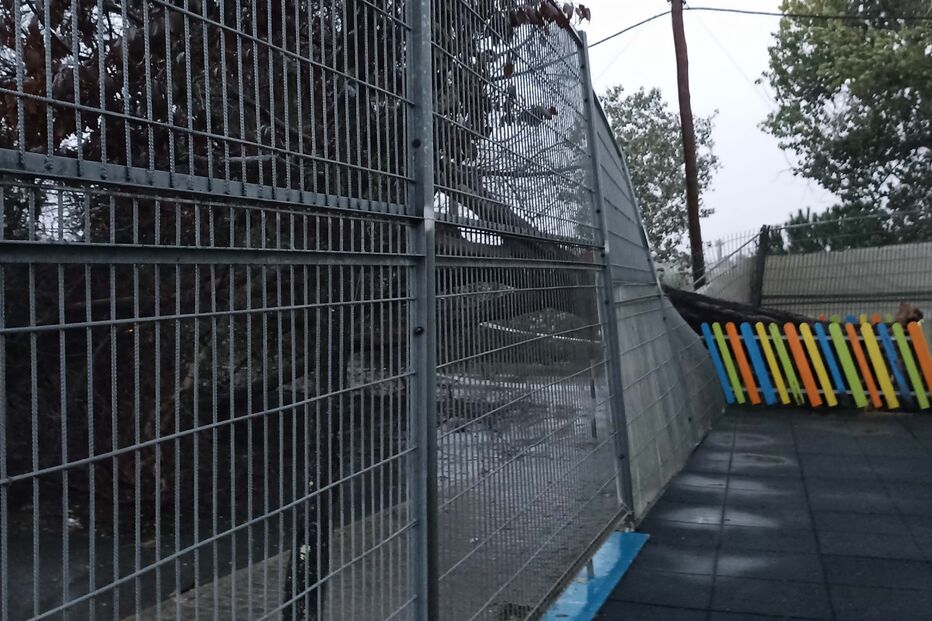 2023-10-17_10_39_36 IMG_20231017_074647.jpg