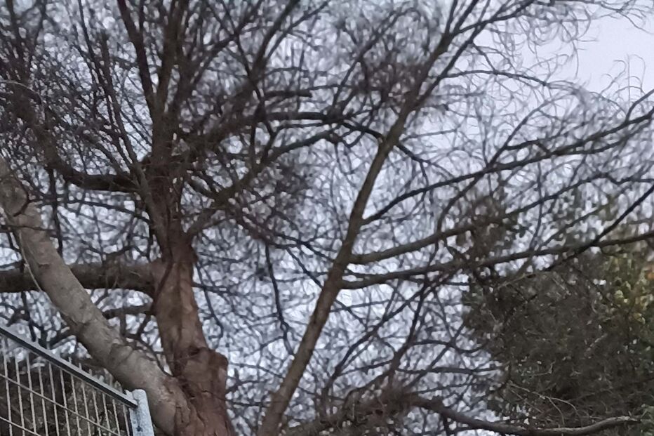 2023-10-17_10_39_41 IMG_20231017_073620.jpg