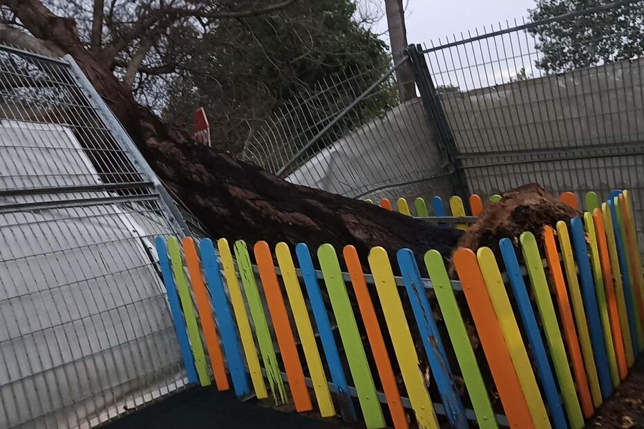 2023-10-17_10_39_45 IMG_20231017_073605.jpg