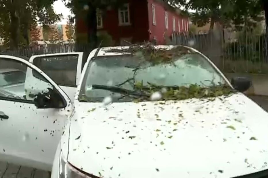 Queda de árvore fere homem em Matosinhos