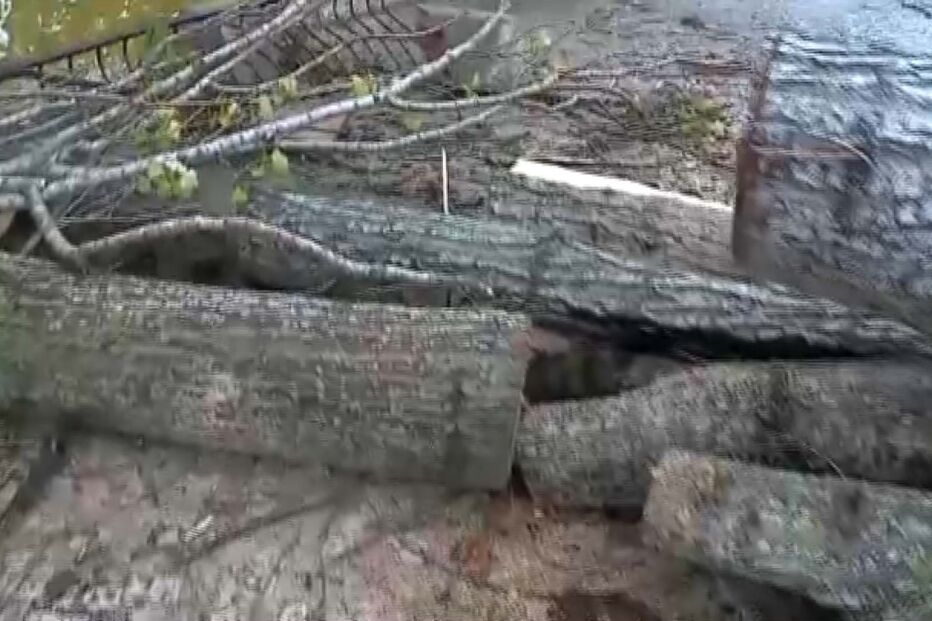 2023-10-17_10_51_04 ávroe.jpg