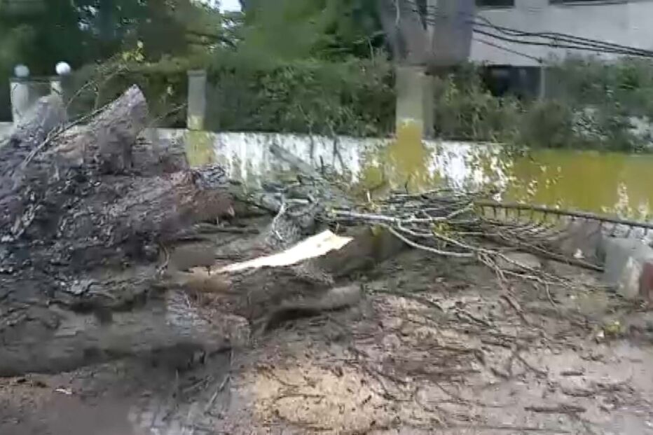 2023-10-17_10_51_37 3jhr4.jpg