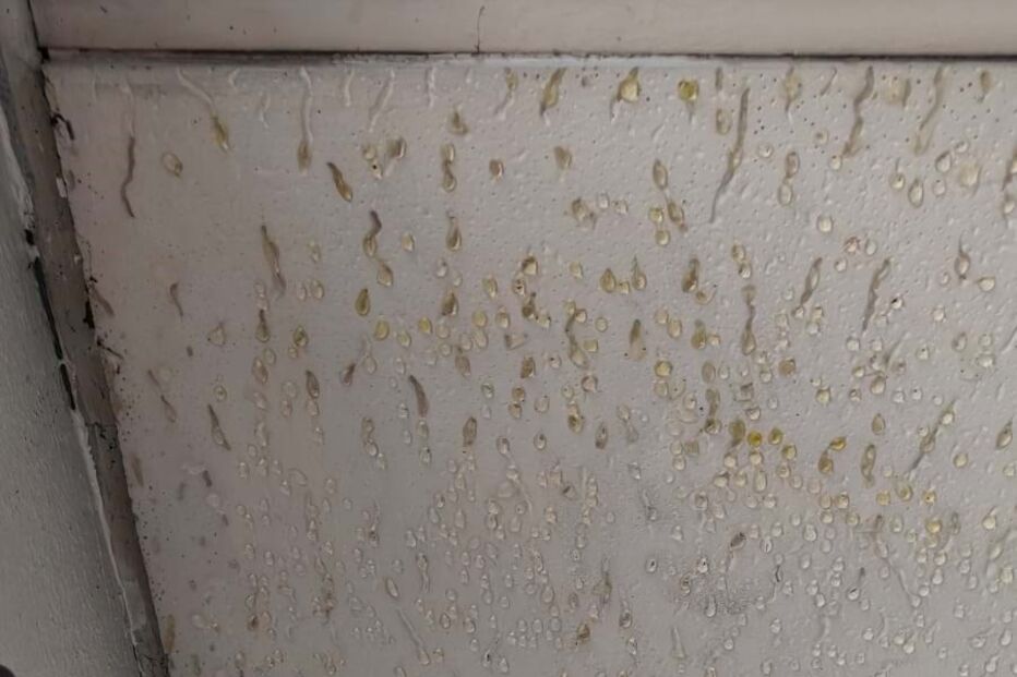 Infiltrações de água na Esquadra da PSP de Loures