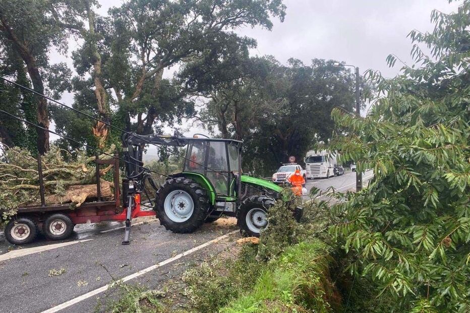 Carro embatem em árvore em Esposende