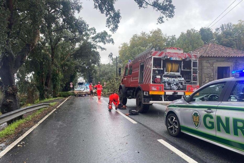 Carro embatem em árvore em Esposende
