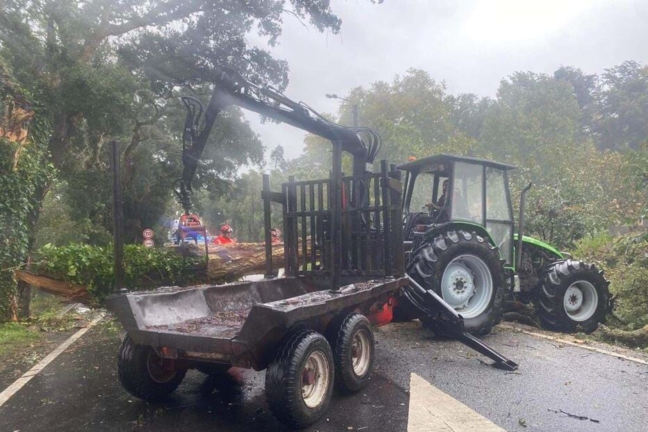 Carro embatem em árvore em Esposende