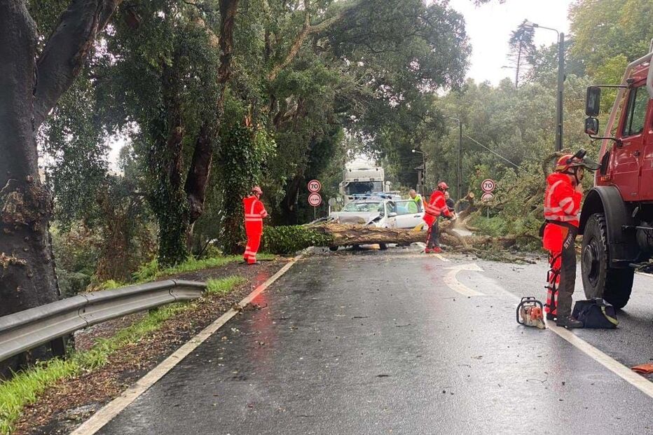Carro embatem em árvore em Esposende