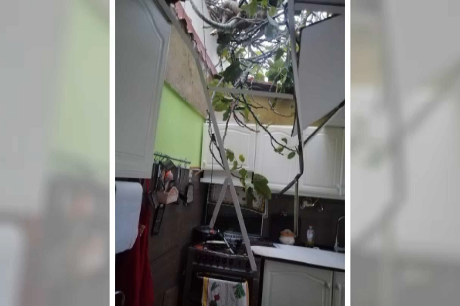 2023-10-17_13_42_39 mddmsçl.png