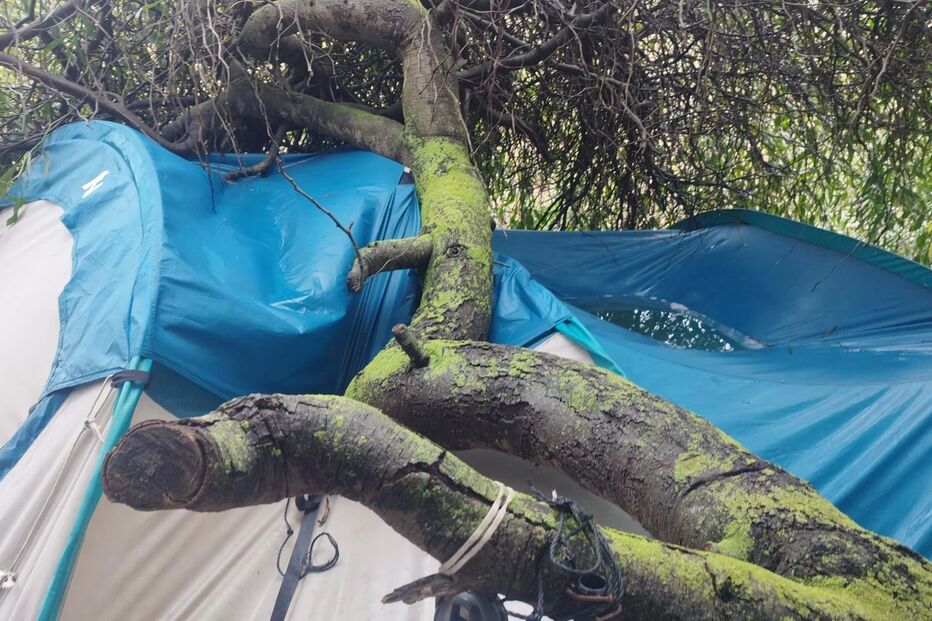 Árvore cai em cima de tenda na Quinta dos Ingleses em Carcavelos