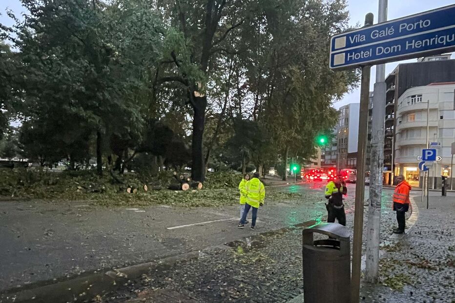 2023-10-18_07_53_59 WhatsApp Image 2023-10-18 at 07.51.39.jpg