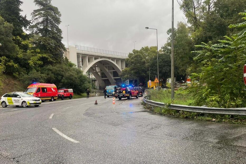 2023-10-19_14_53_41 monsanto.jpg