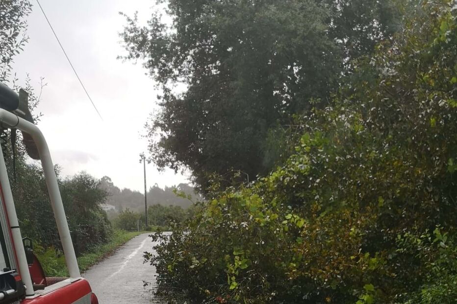 2023-10-20_10_40_18 WhatsApp Image 2023-10-20 at 10.33.59 (1).jpg