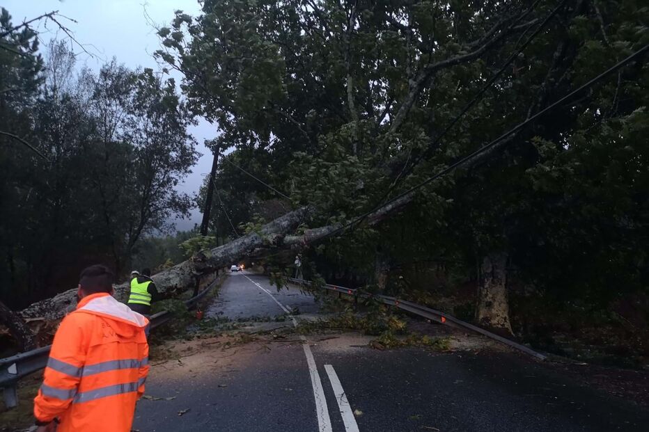 2023-10-20_10_40_24 WhatsApp Image 2023-10-20 at 10.33.58 (1).jpg