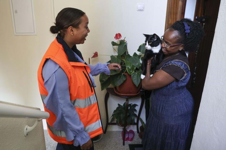 Voluntários da Animaliife apoiam famílias carenciadas que possuam animais 
