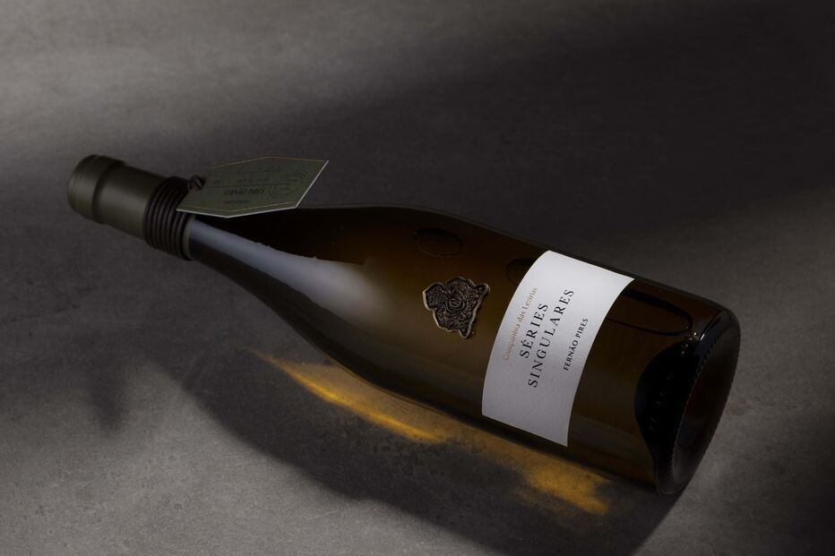 2023-10-24_11_16_32 singular.jpg