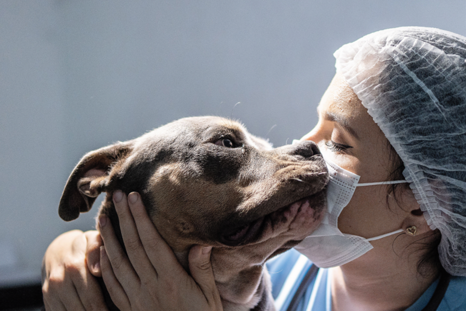 Tratados como humanos na doença
