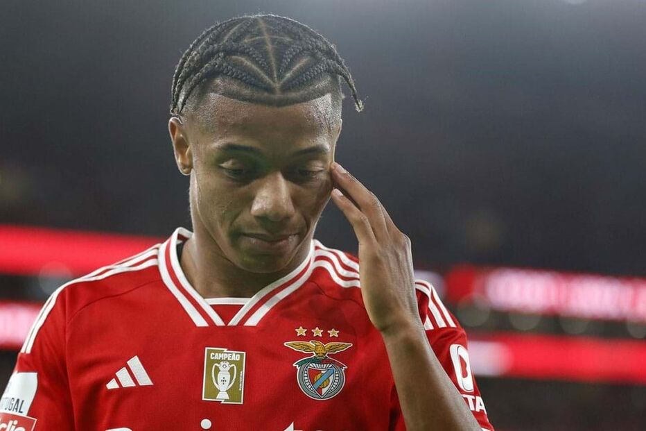 2023-10-29_16_44_59 49254855.JPG