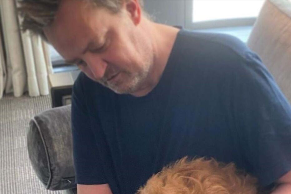 Alfred fazia parte da vida de Matthew há três anos