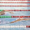 <![CDATA[ Portugal com sete atletas nos Europeus de natação paralímpica ]]>
