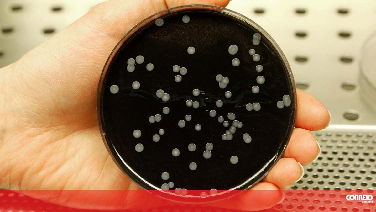 Focos de legionella detetados na última semana foram identificados em análises de rotina