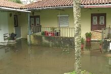 /fotosgeral/Fotos/2-49325682#00b9c501d7cae2661ada8cd0dae6c4a9 (19505020) (Milenium)