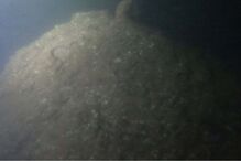 Militares da Marinha participam em missão da NATO e inativam seis minas marítimas no mar Báltico