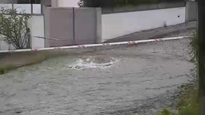 Chuva intensa provoca inundações e queda de muros em Famalicão 