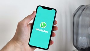Crianças estão a ser adicionadas a grupos de WhatsApp com conteúdos pornográficos. PJ deixa conselhos aos pais