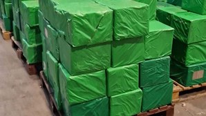 Apreendidas mais de quatro toneladas de cocaína escondidas em caixas de bananas num armazém em Lisboa
