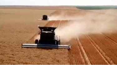 Saiba como a tecnologia está a revolucionar a agricultura