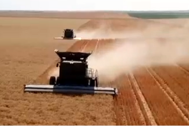 Saiba como a tecnologia está a revolucionar a agricultura