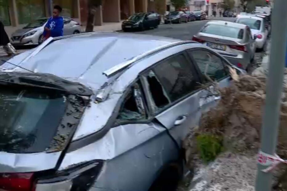 Queda de árvore de grande porte atinge carro em Lisboa