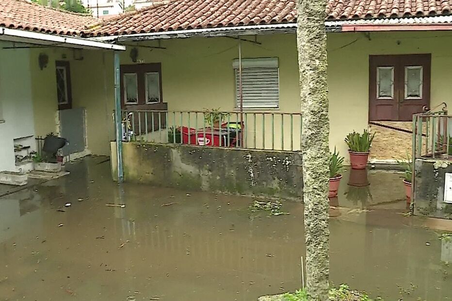 /fotosgeral/Fotos/2-49325682#00b9c501d7cae2661ada8cd0dae6c4a9 (19505020) (Milenium)