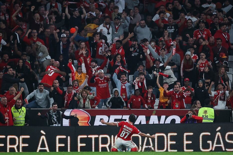 41833040.JPG (19583956) (Milenium)