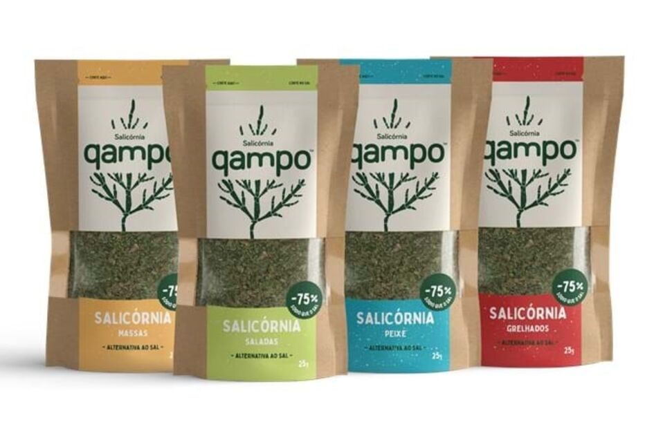 2023-11-16_17_38_07 sal.jpg