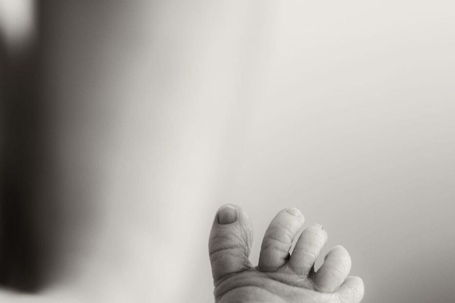 Maria Botelho Moniz e Pedro Bianchi Prata filho Vicente