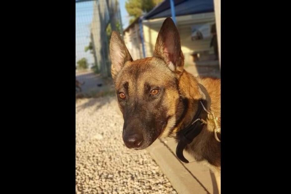 2023-11-26_13_00_07 img_900x509$2023_11_26_12_54_58_1501357.jpg