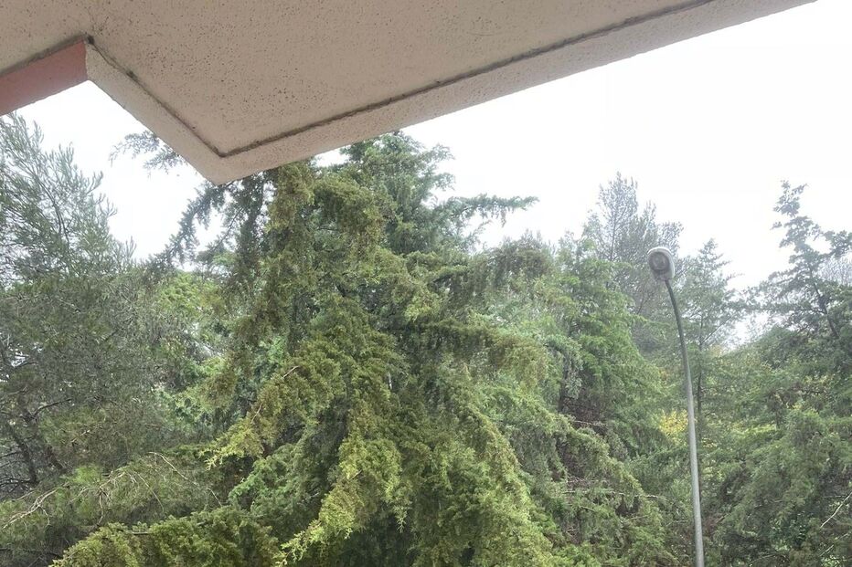 2023-11-30_17_44_02 capture.jpg