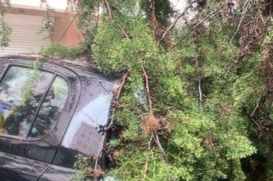 2023-11-30_17_44_30 capture.jpg