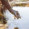 <![CDATA[ Tanque de aprendizagem de piscinas de Aljezur encerrado após análises à água ]]>
