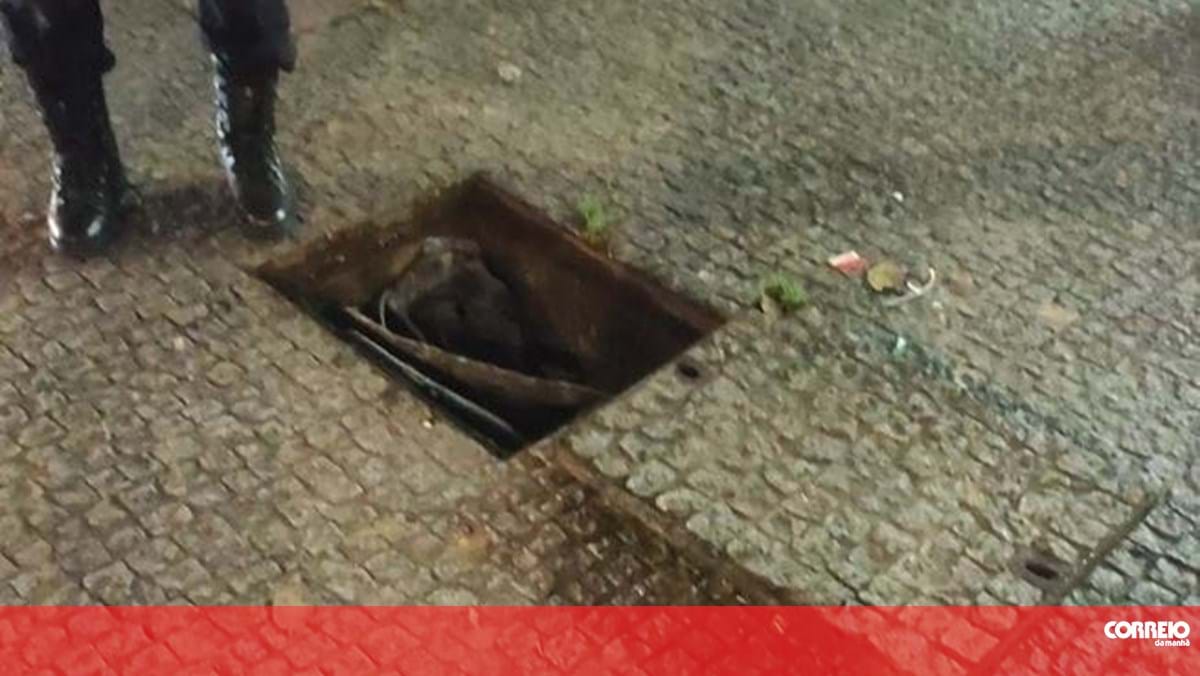 Mãe e filho caem numa caixa de telecomunicações sem tampa em São João da Madeira