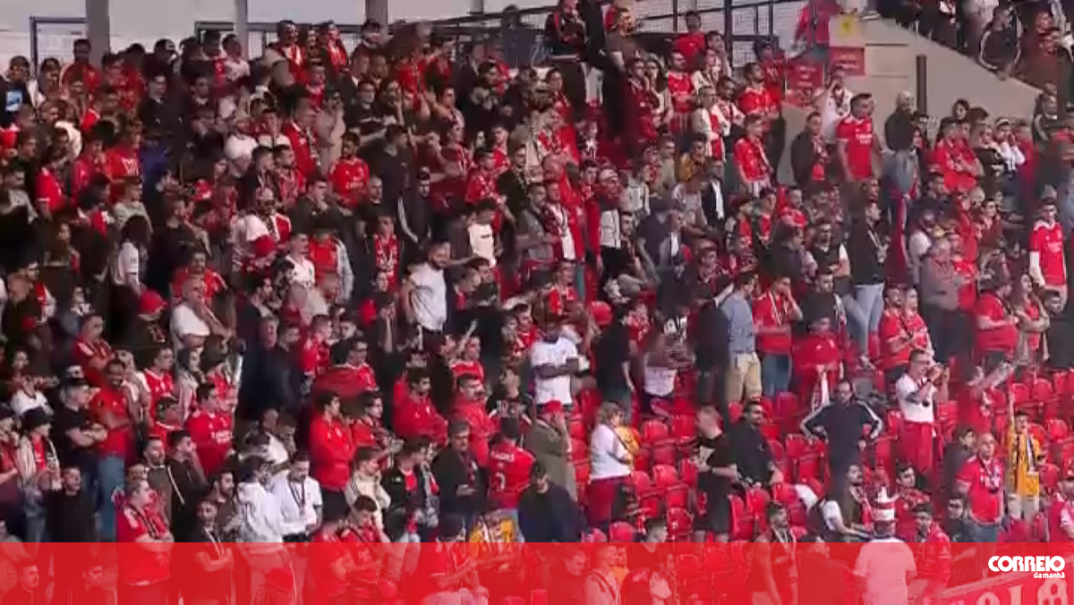 Detido homem que esfaqueou adepto no Estádio da Luz