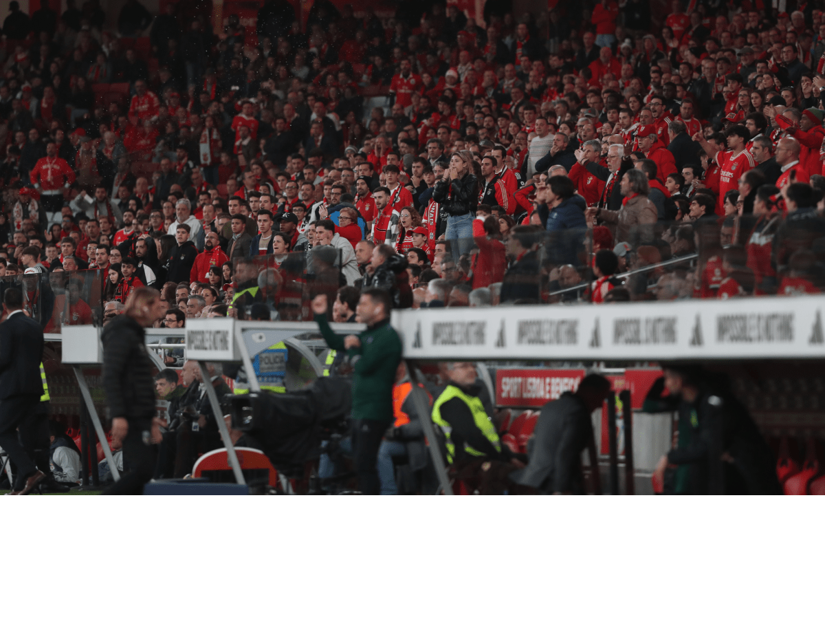 Schmidt visa adeptos do Benfica: «Se não respeitam, fiquem em casa e voltem  quando formos campeões Se pretendem um treinador que faça as  substituições que querem, vou embora. Sempre disse que se