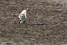 Apanha ilegal de amêijoa na Praia do Samouco