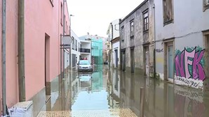 Ruas cortadas e campos agrícolas inundados na Póvoa de Varzim devido à chuva