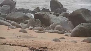 Corpo de mulher dá à costa em praia de Vila Nova de Gaia