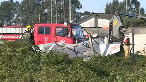 Dois trabalhadores caem num poço em zona industrial de Ílhavo - SIC Notícias