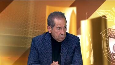 Octávio Machado: "Culpa não é só de Schmidt"